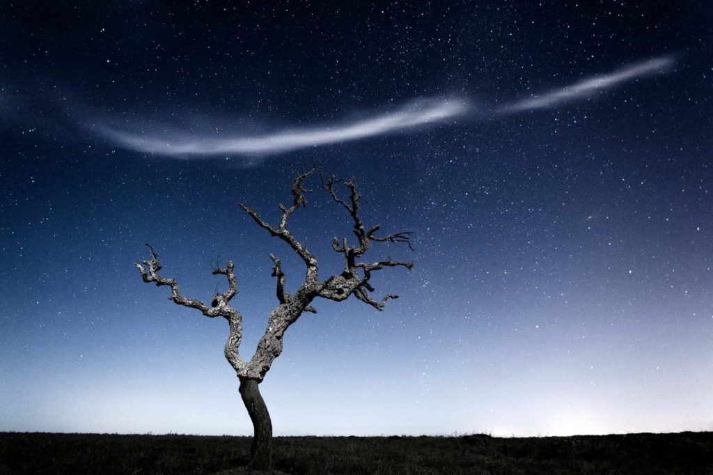 A nuvem e a árvore por Marco Santos Marques, Fotografia de Paisagem