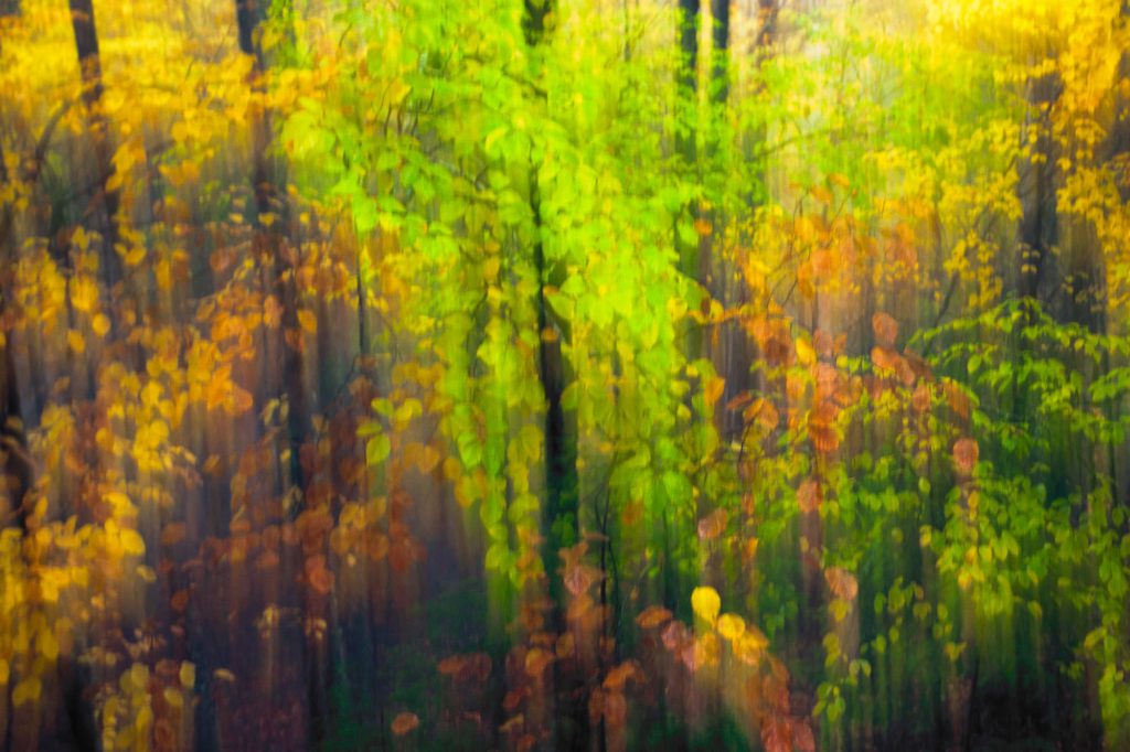 Cores vivas por Marco Santos Marques, Fotografia de Paisagem