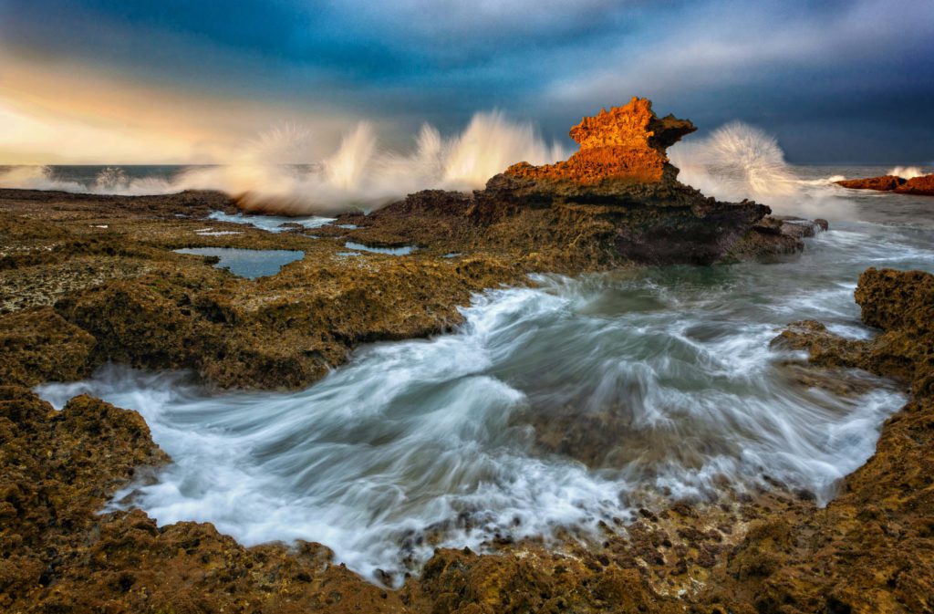 Cravo dourado por Marco Santos Marques, Fotografia de Paisagem