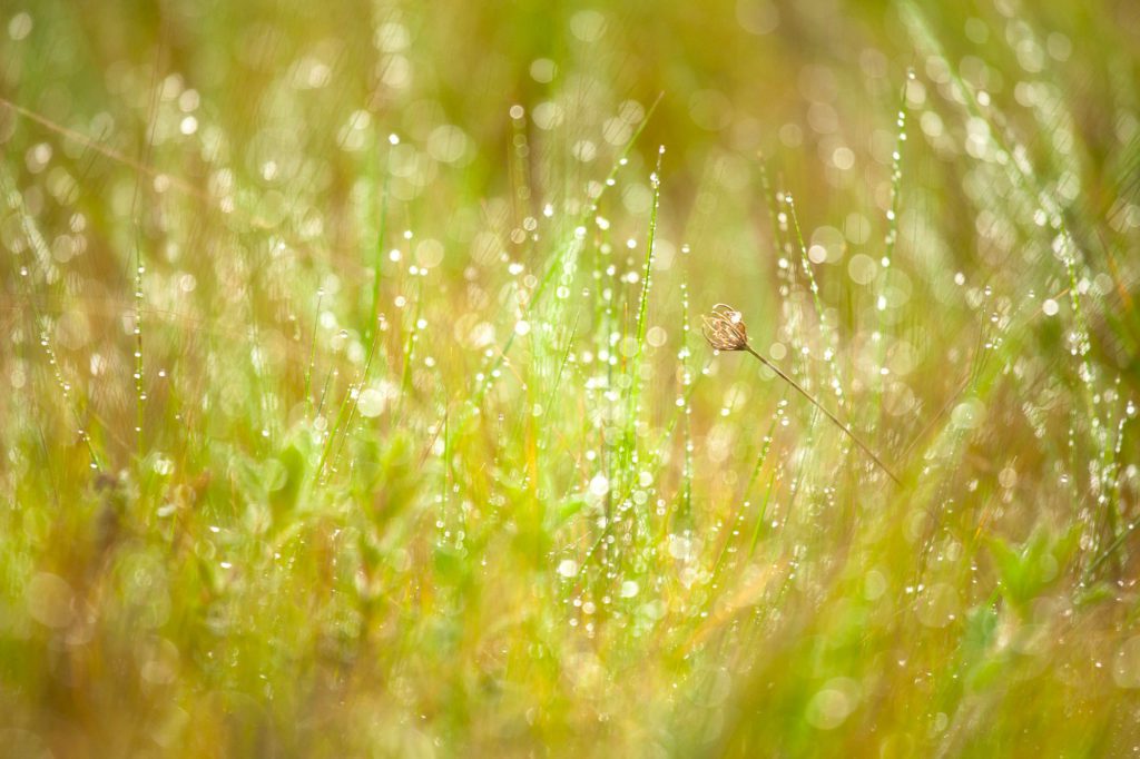 Depois da chuva por Marco Santos Marques, Fotografia de Paisagem