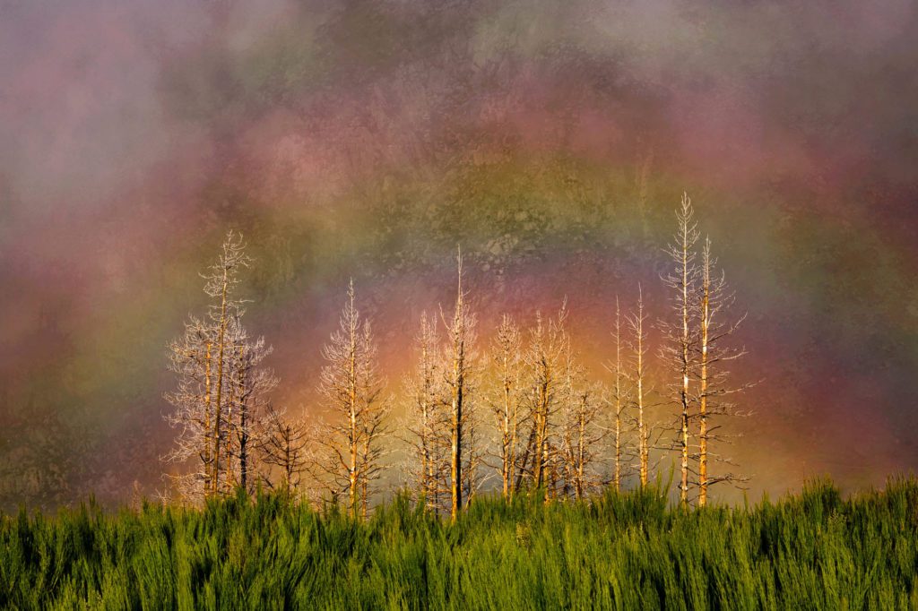 O arco-íris da árvores nuas por Marco Santos Marques, Fotografia de Paisagem