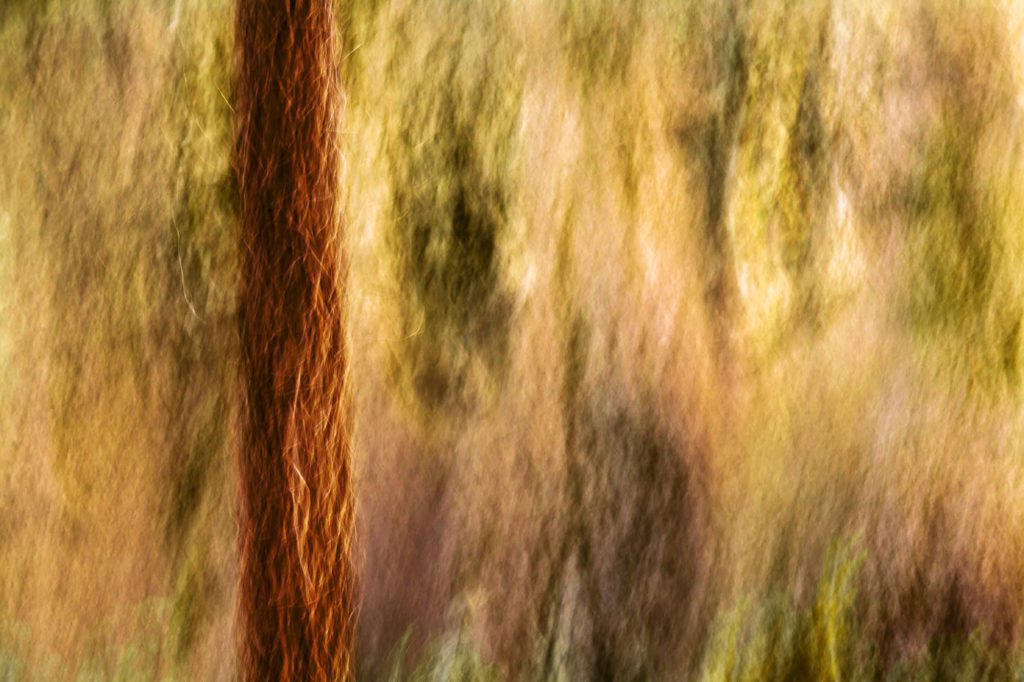 Pastel por Marco Santos Marques, Fotografia de Paisagem
