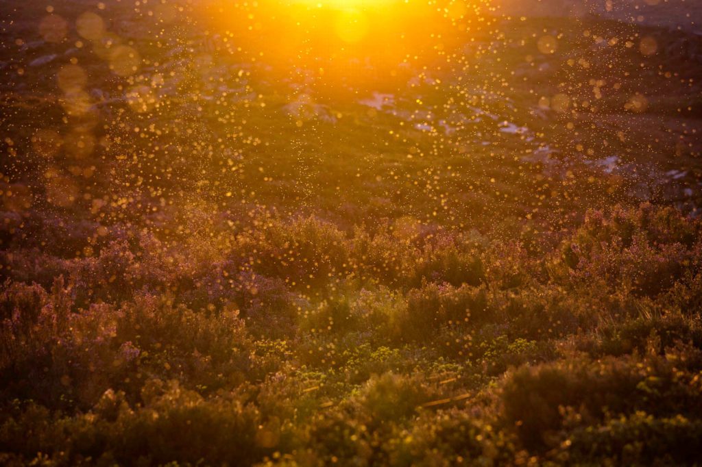 Pontos de luz por Marco Santos Marques, Fotografia de Paisagem