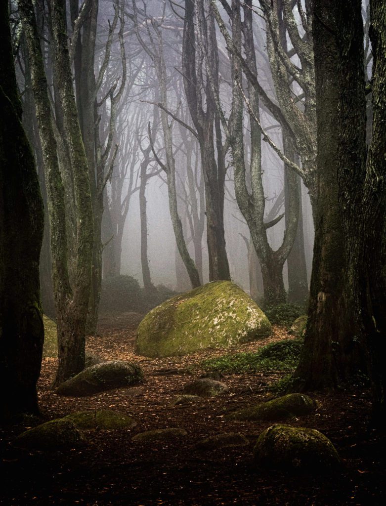 Portal evanescente por Marco Santos Marques, Fotografia de Paisagem
