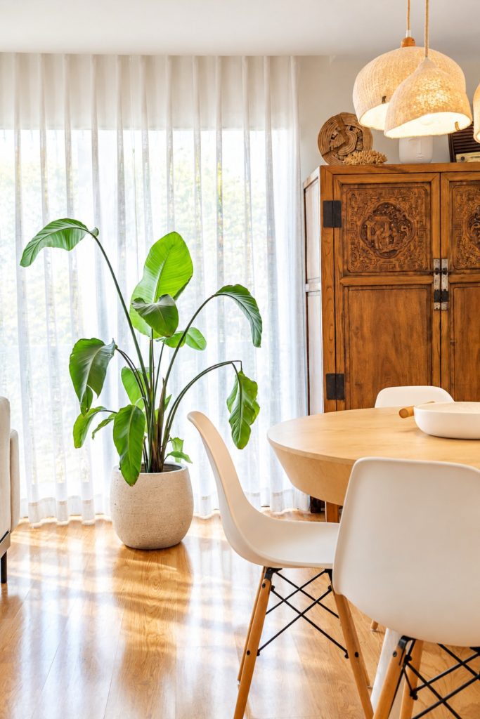 Sala de jantar com planta junto a cortinas de linho, armário antigo em madeira entalhada e mesa redonda